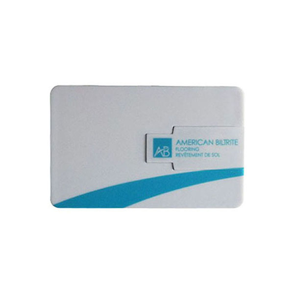 DBH Smart Card USB